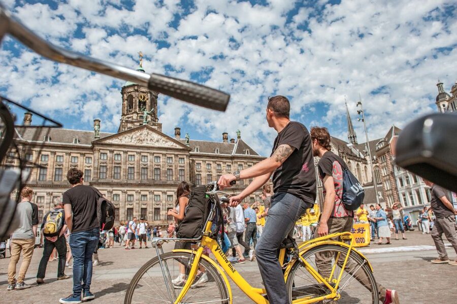 Amsterdam: Relaxed City Highlights Guided Bike Tour - Pace, Safety, and Why the Small Group Size Is the Real Upgrade