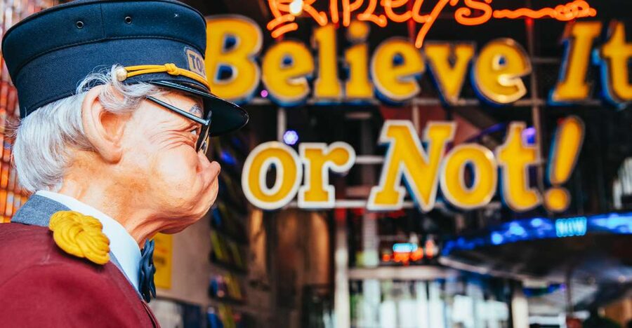 Amsterdam's Weirdest Museum: Believe It or Not! - Key Things That Make This Museum Feel Worth Your Time