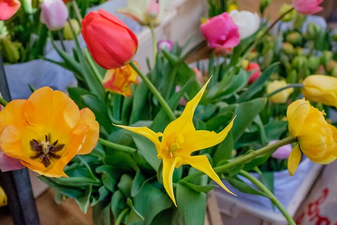 Amsterdam Sightseeing Tour + Hidden Gems + Tastings + PDF guide - The Mouse Mansion and Kalverpassage: the quieter side of Amsterdam