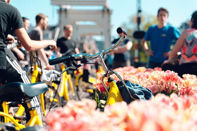 Amsterdam Small Group Bike Tour - Key highlights you will feel on the ride