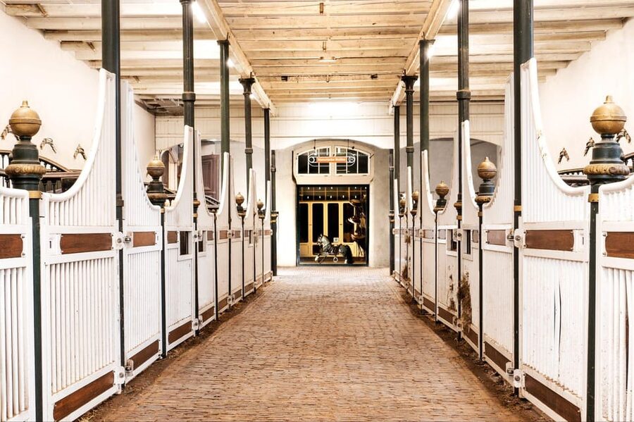 Amsterdam: The 'Hollandsche Manege' Stables Entry Ticket - Hollandsche Manege, a working riding school in Amsterdam