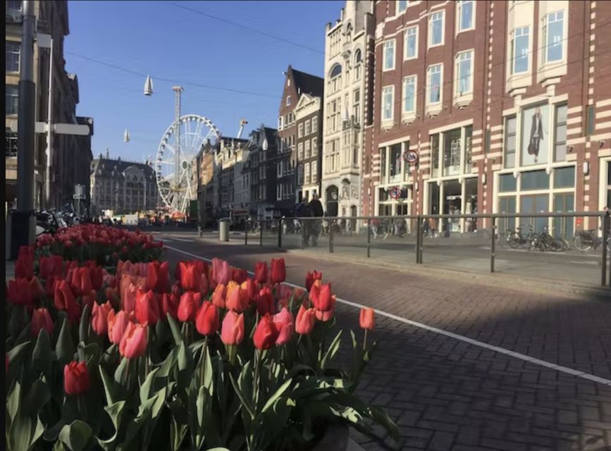 Amsterdam: The Story of History & Culture Walking Tour - Dog Tolkien, a sweet bonus on select days