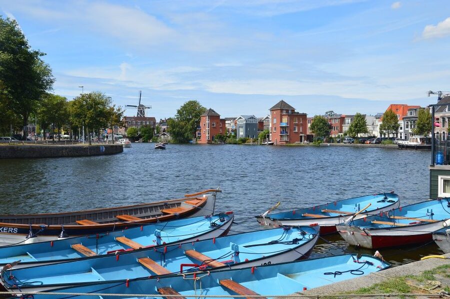 Amsterdam to Haarlem: Private Day-Trip Experience - Grote Markt lunch: local life you can taste