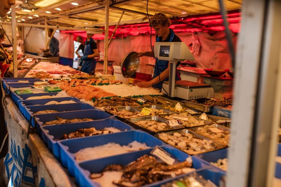 Amsterdam to Haarlem: Private Day-Trip Experience - Haarlem’s food, cafes, and shopping streets (without the sales pitch)