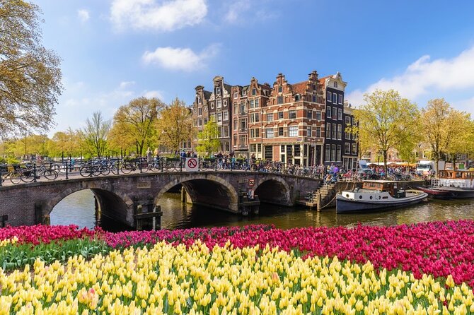 Amsterdam to Schiphol Airport Private Transfer - Price and value: what $73.21 per person really buys you