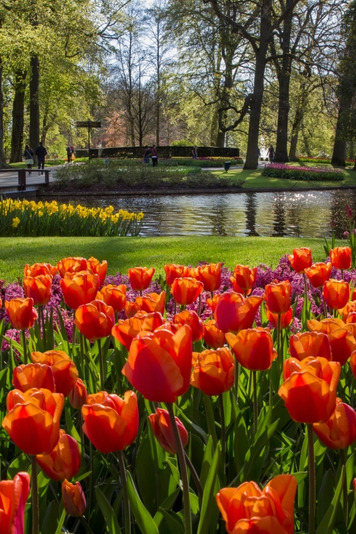 Amsterdam: Tour to Keukenhof Gardens with Windmill Cruise - Starting at This is Holland: the meeting point that keeps things moving