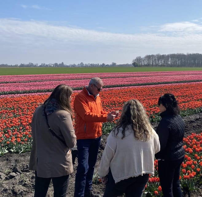Amsterdam: Tulip Fields Day Tour with Lunch & Windmill - Onderdijk lunch break plus Geradus Majella church views, for a real Dutch pause