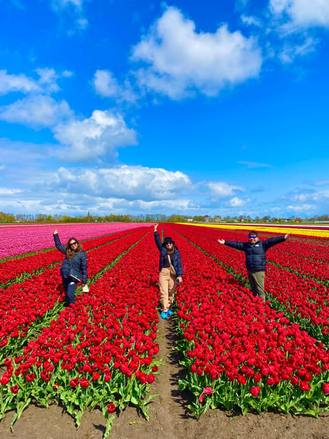 Amsterdam: Tulip Fields Day Tour with Lunch & Windmill - Price and value: why 143 USD can make sense for this day