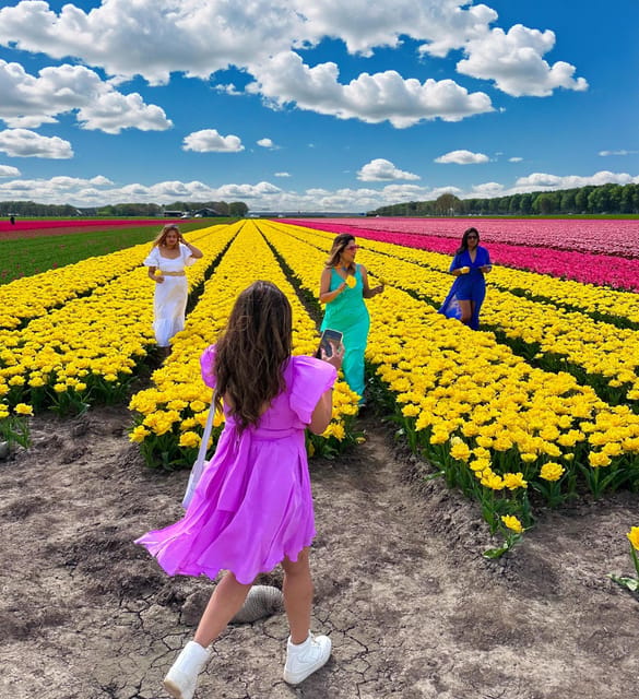 Amsterdam: Tulip Fields Day Tour with Lunch & Windmill - The tulip-field route is built for crowd-free photos, not a shopping-garden script