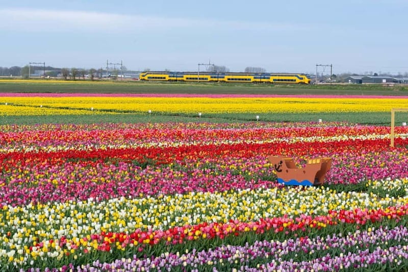 Amsterdam : Tulip Wonderland Tour - Getting back to Amsterdam: smooth return, quick wrap-up