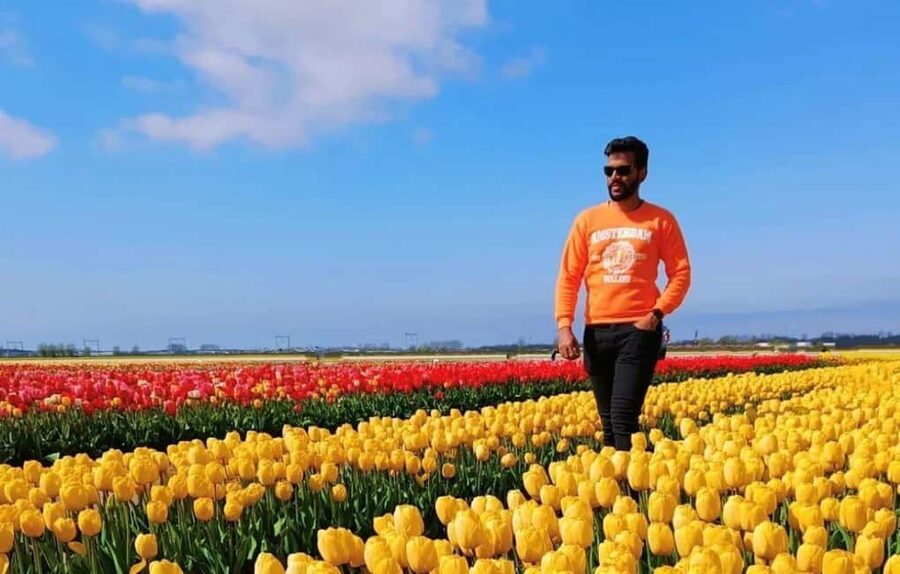 Amsterdam : Tulip Wonderland Tour - Is the $37 price worth it for a tulip-filled afternoon?