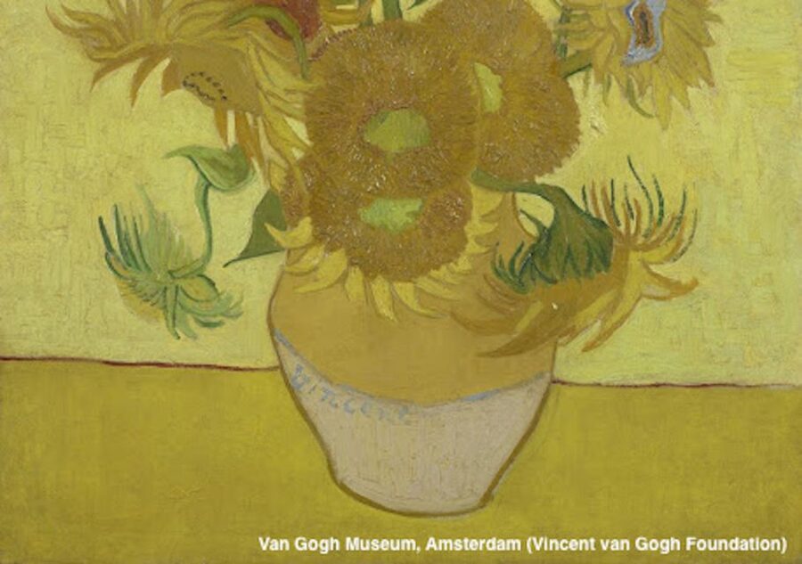 Amsterdam: Van Gogh Museum Guided Tour with Entry - What You Get in 2 Hours at the Van Gogh Museum