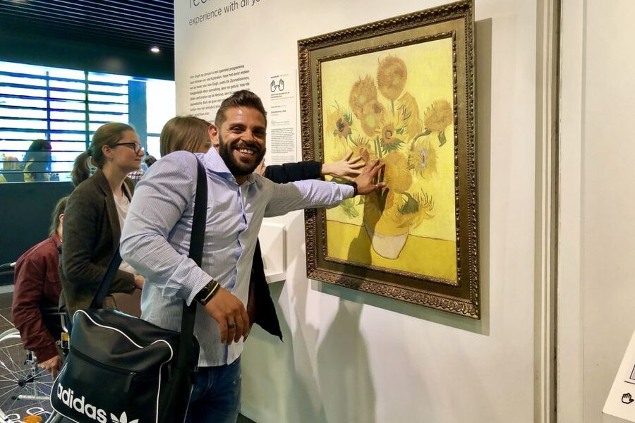 Amsterdam: Van Gogh Museum Masterpieces Tour up to 8 guests - French period masterpieces: color, momentum, and Sunflowers