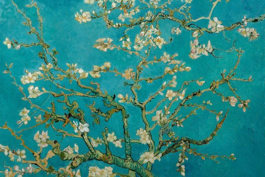 Amsterdam: Van Gogh Museum Ticket & Canal Cruise - Audio Commentary in 19 Languages, Plus GPS Style Guidance