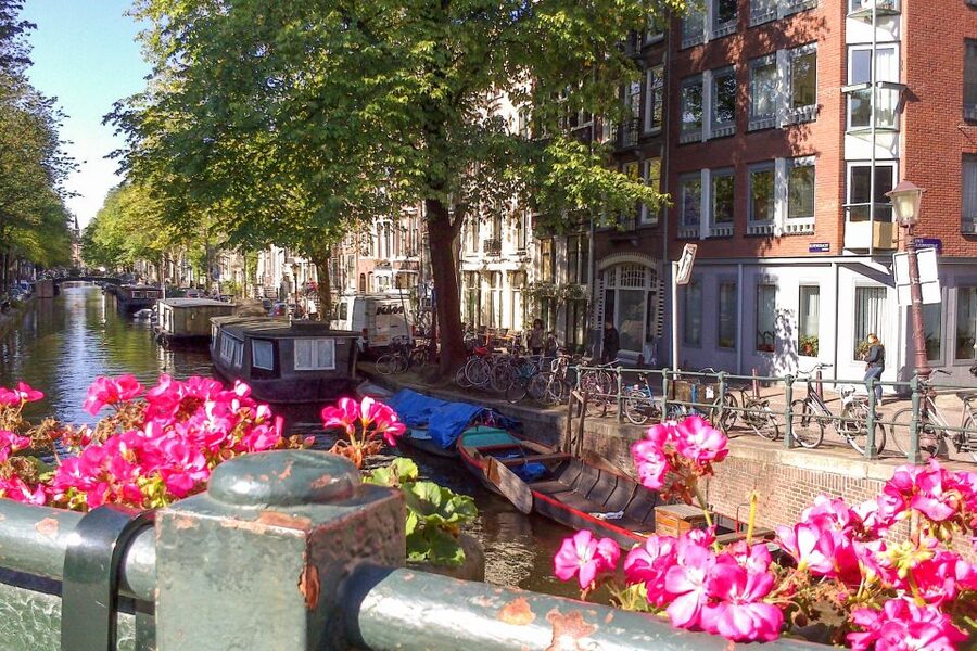 Amsterdam Walking Tour and Canal Cruise - A smart way to see Amsterdam in 4 hours