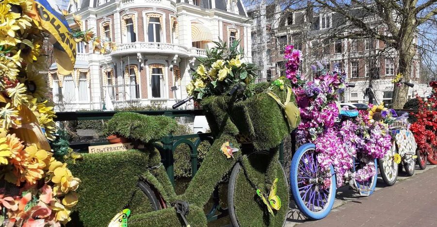 Amsterdam Walking Tour and Canal Cruise - Price and value: what you get for $194 per person
