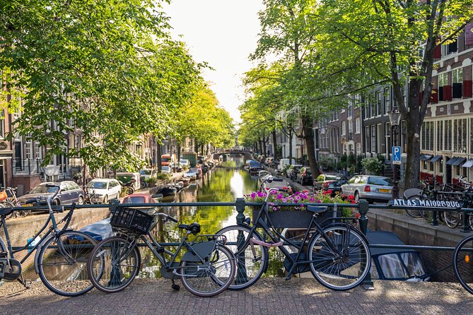 Amsterdam Walking Tour and Cruise with Drinks and Cheese Tasting - Price and value: is $71.97 worth it?