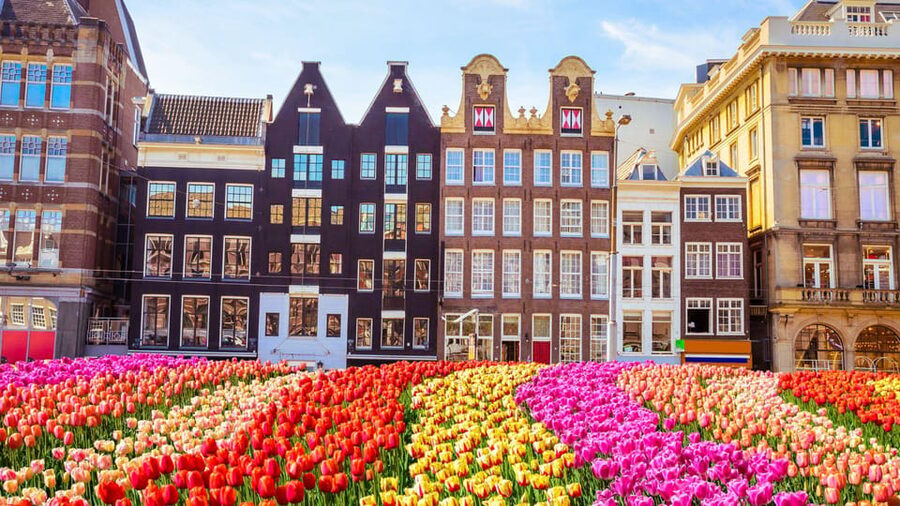 Amsterdam Walking Tour with a Local - Starting in your neighborhood, not at a monument