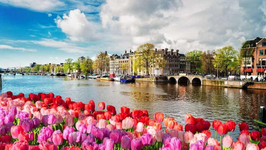 Amsterdam Walking Tour with a Local - What to know before you go