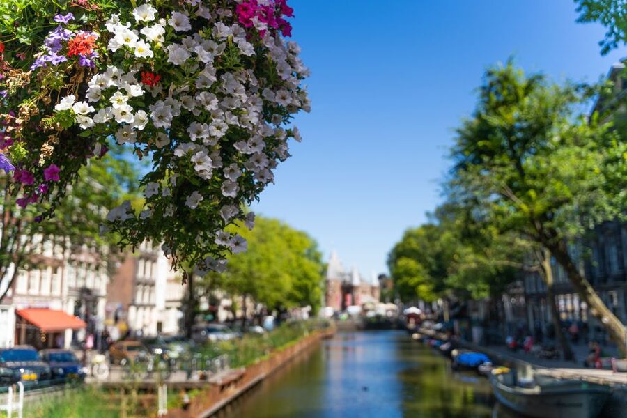 Amsterdam Walking Tour with Cheese Tasting - Should You Book This Amsterdam Walking Tour with Cheese Tasting?