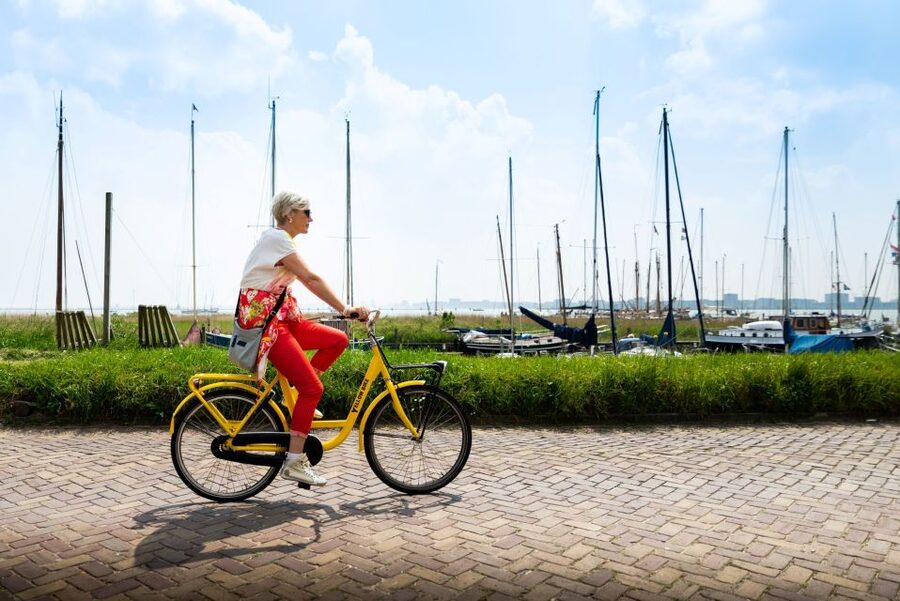 Amsterdam: Waterland District Countryside Villages Bike Tour - Key highlights worth your attention