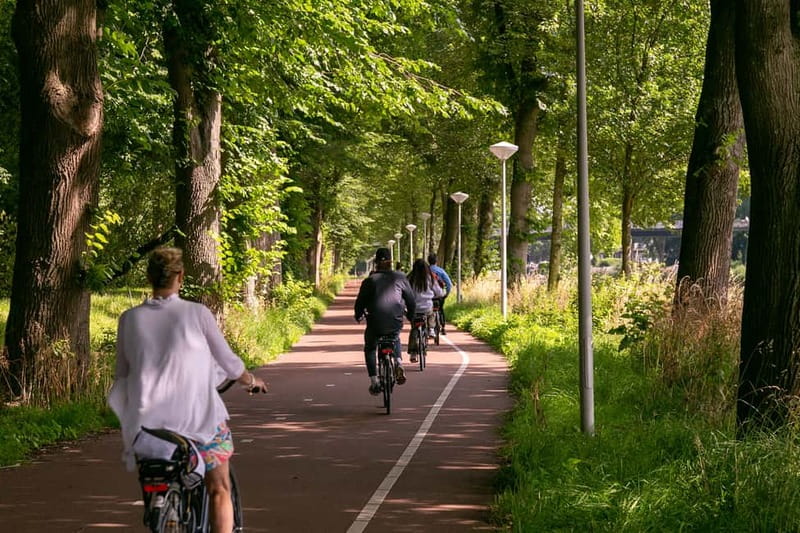 Amsterdam: Windmill, Cheese, and Countryside E-Bike Tour - A windmill stop that gives you the Dutch vibe early