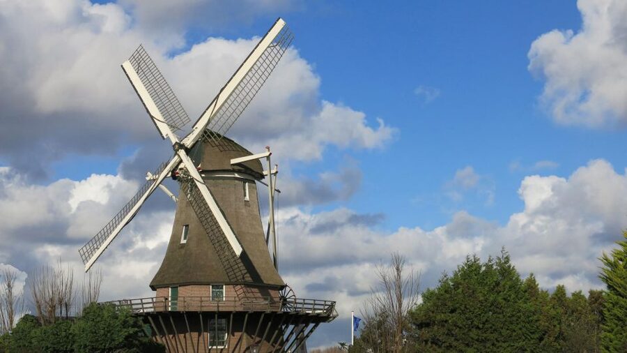Amsterdam: Windmill Guided Tour - Who this tour suits best (and who should plan ahead)