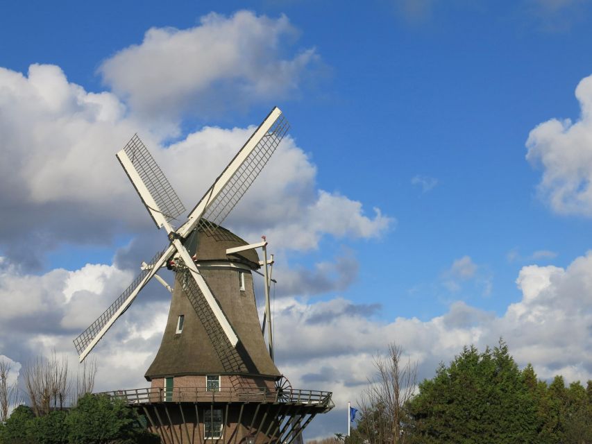 Amsterdam: Windmill Guided Tour - From the souvenir shop to the windmill: your 45-minute flow