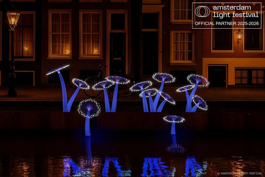 Amsterdam Winter Walking Tour - Dam Square to Get Oriented Fast