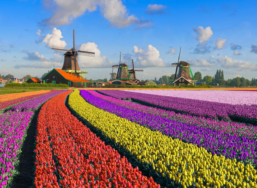 Amsterdam: Zaanse Schans, The Hague & Rotterdam Tour - Meeting at Aloha Bowling, then heading south