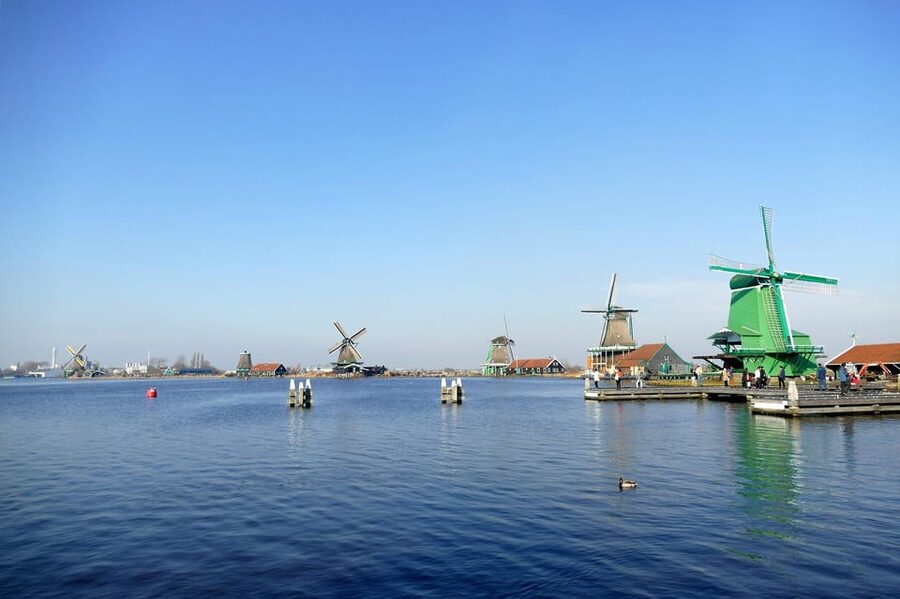 Amsterdam: Zaanse Schans, The Hague & Rotterdam Tour - Guides, driver quality, and why timing matters on this route