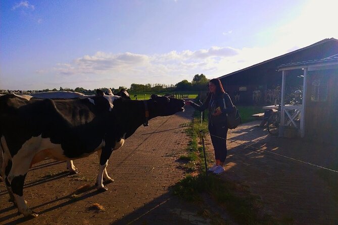 Best of Dutch Countryside: Giethoorn, Windmills, Secret Villages - Catharina Hoeve cheese farm tasting with real variety
