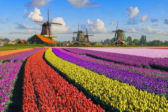 Best of Netherlands: Zaanse Schans Mills, The Hague & Rotterdam - Timing, walking, and the bus factor