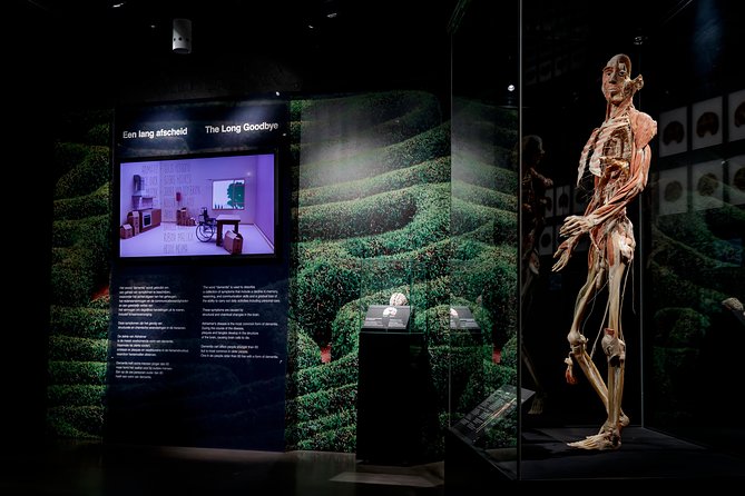 Body Worlds Amsterdam Admission Ticket - Price and value: is $27.21 worth it?