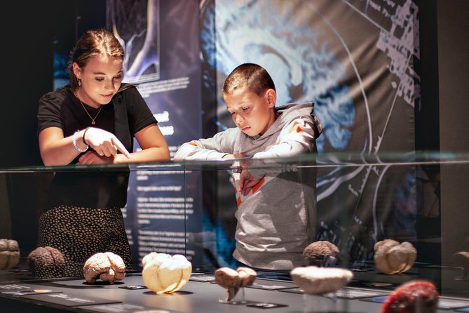 Body Worlds Amsterdam Admission Ticket - Real specimens and cross sections: powerful, but choose your comfort level