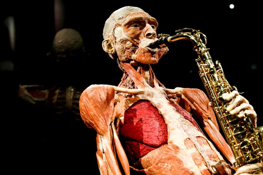 Body Worlds Amsterdam: The Happiness Project Ticket - What Body Worlds Amsterdam Is Really About