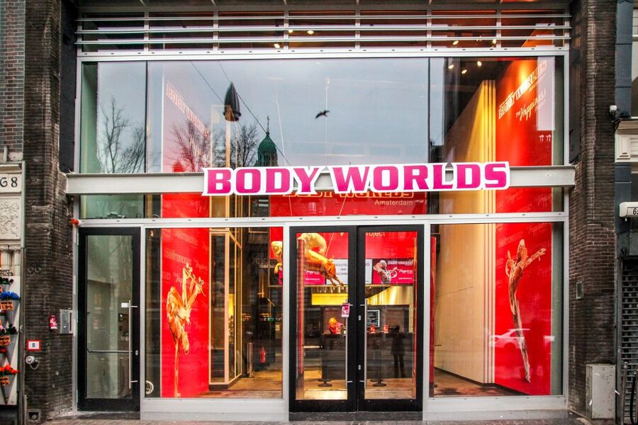 Body Worlds Amsterdam: The Happiness Project Ticket - The Practical Route Through the Exhibition (6 Floors, Downward Flow)