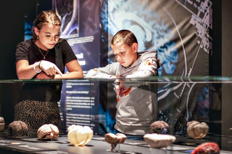 Body Worlds Amsterdam: The Happiness Project Ticket - InBody Scan and Other Interactive Stops