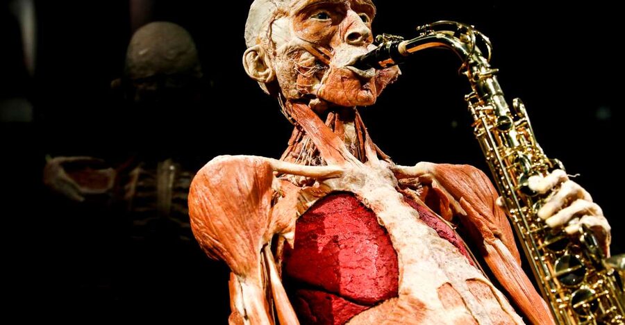 Body Worlds Amsterdam: The Happiness Project Ticket - Getting In at Damrak 66 Without Losing Your Day