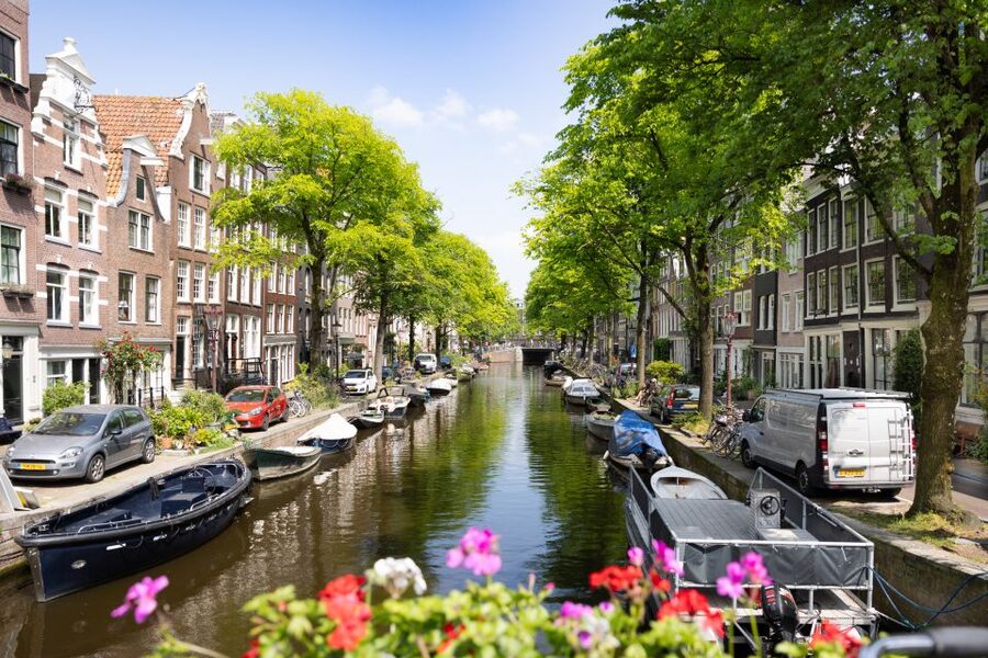 Boutique Dutch Food & History Tour with up to 8 guests only - Price and value: why $147 makes more sense than it first seems