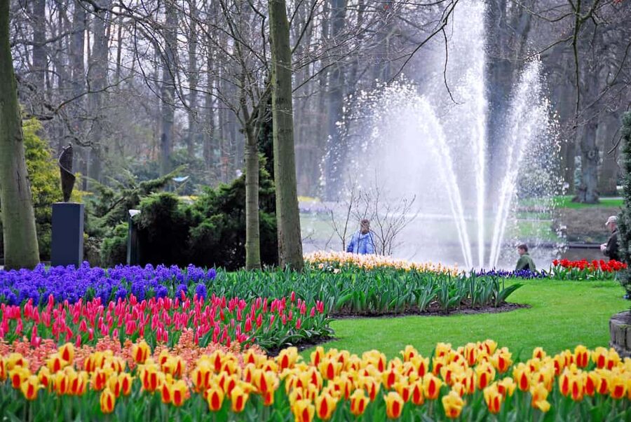 Brussels: Holland Keukenhof & Kinderdijk Guided Day Tour - Key points before you go