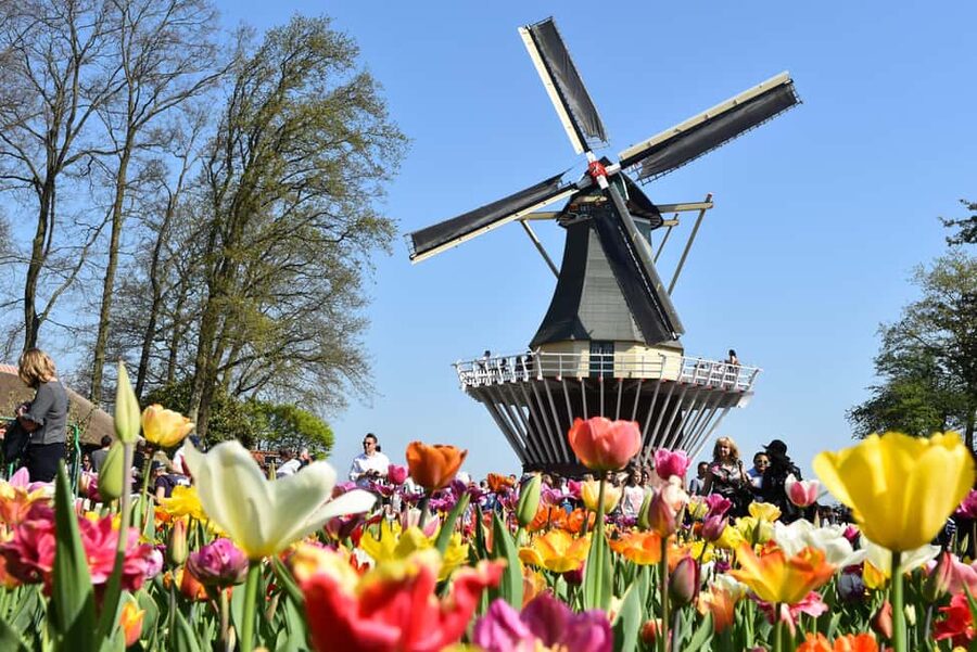 Brussels: Holland Keukenhof & Kinderdijk Guided Day Tour - Flower fields and the weather reality you can plan around