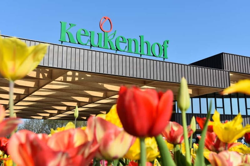 Brussels: Holland Keukenhof & Kinderdijk Guided Day Tour - Getting to Kinderdijk: travel time, comfort, and expectations