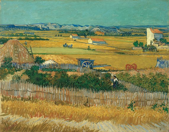Combo Ticket: Van Gogh Museum Ticket and 1-Hour Canal Cruise - On the Lovers Canal Cruise: Audio Guide, Landmarks, and Realistic Expectations