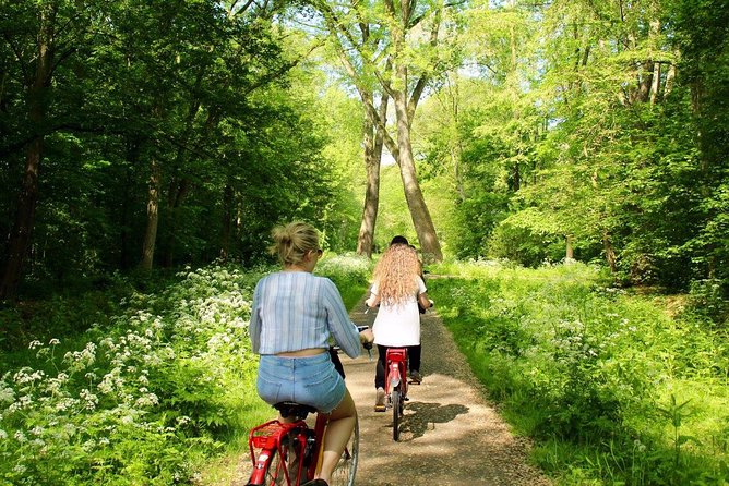 Countryside Fishermen Villages & Cheese E-bike Tour - Jacobs Hoeve Cheese Farm by Henri Willig: included tasting and real cheesemaking