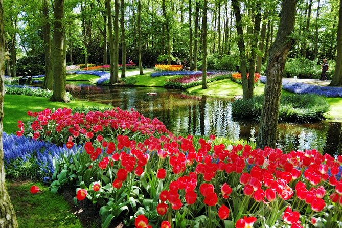 Day Trip to Keukenhof Gardens from Amsterdam with Tour Guide - Timing and Crowds: How to Get More Bloom per Hour