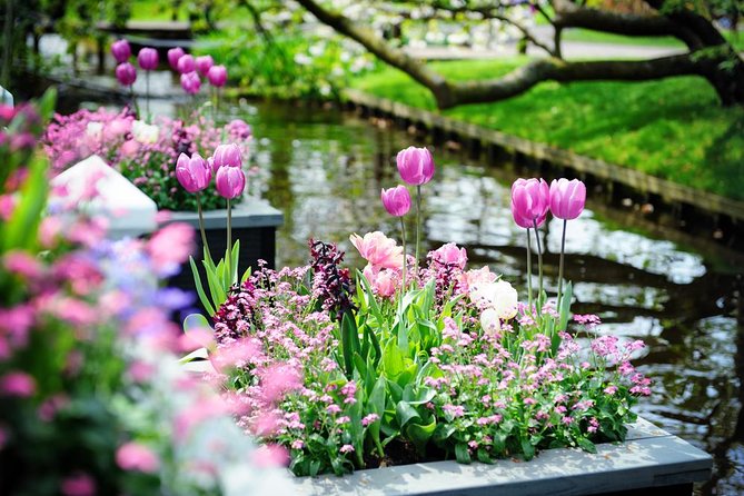 Day Trip to Keukenhof Gardens from Amsterdam with Tour Guide - What to Budget Beyond the Tour Price (Food, Extras, Weather)