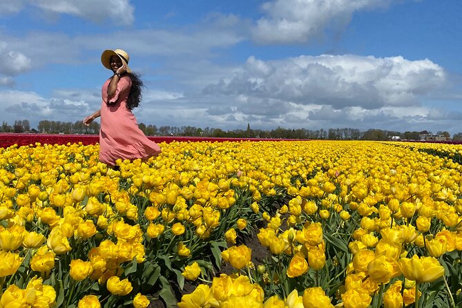 Discover Holland’s Beautiful Tulip Fields with an Expert Guide - Key Highlights at a Glance