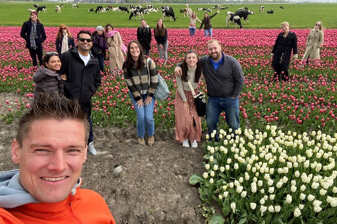 Discover Holland’s Beautiful Tulip Fields with an Expert Guide - Venhuizen Tulip Field Stop: A Second Dose of Color