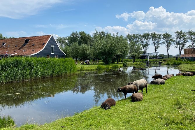 Escape Amsterdam: E-Bike to Zaanse Schans Windmills & Zaandam - Meeting at Oosterdokskade, then a free ferry hop to Noord